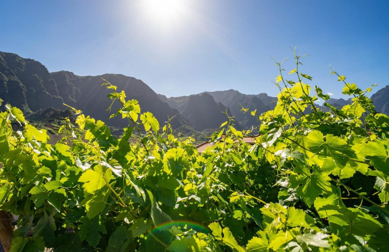 فيلا Quinta Vale Vitis São Vicente المظهر الخارجي الصورة