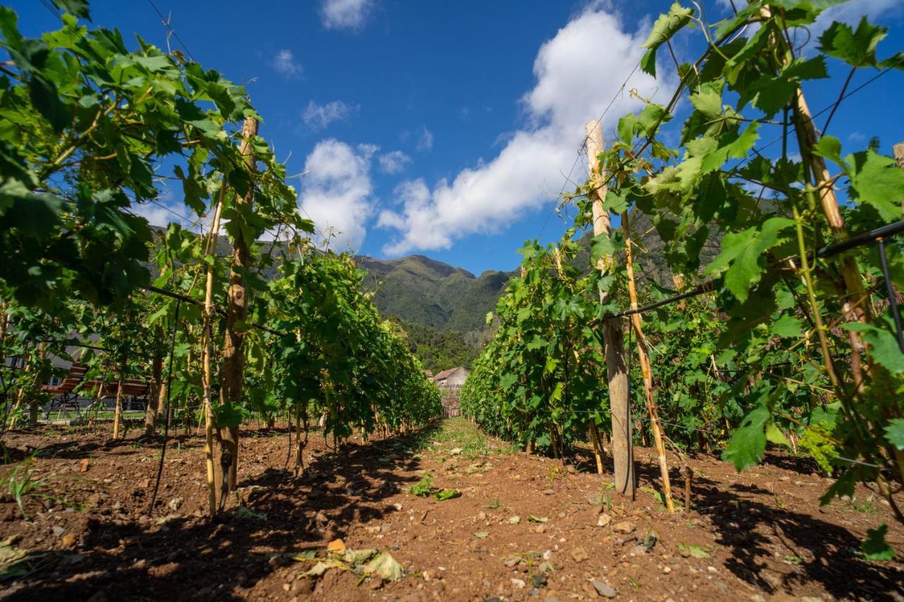 فيلا Quinta Vale Vitis São Vicente المظهر الخارجي الصورة
